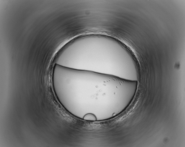 X0000100360925200806060819