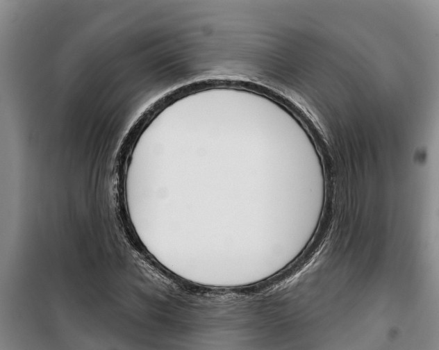 X0000100360926200806060820