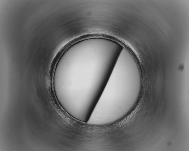 X0000100360927200806060820