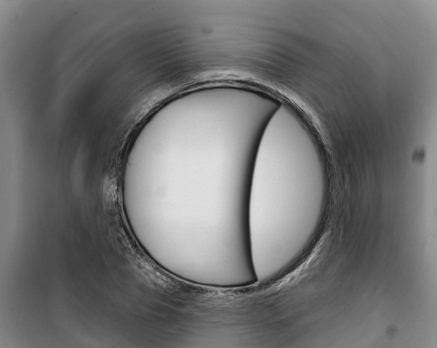 X0000100360929200806060820