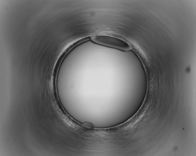 X0000100360932200806060820