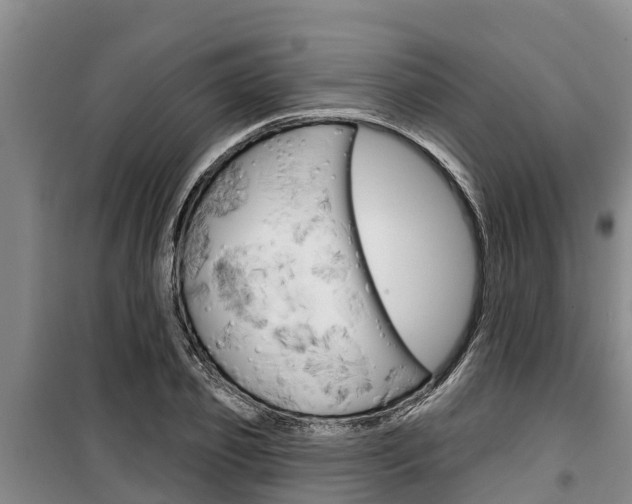 X0000100360933200806060820