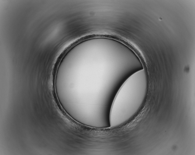 X0000100360935200806060820