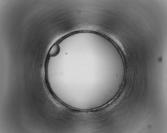 X0000100360936200806060820