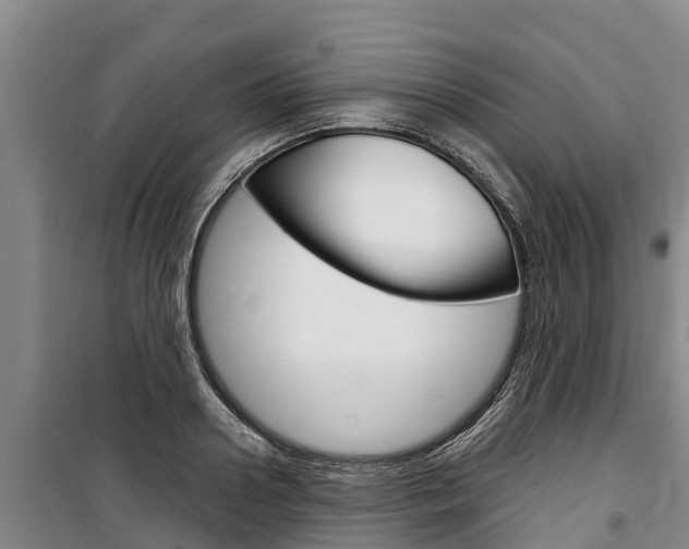 X0000100360938200806060820