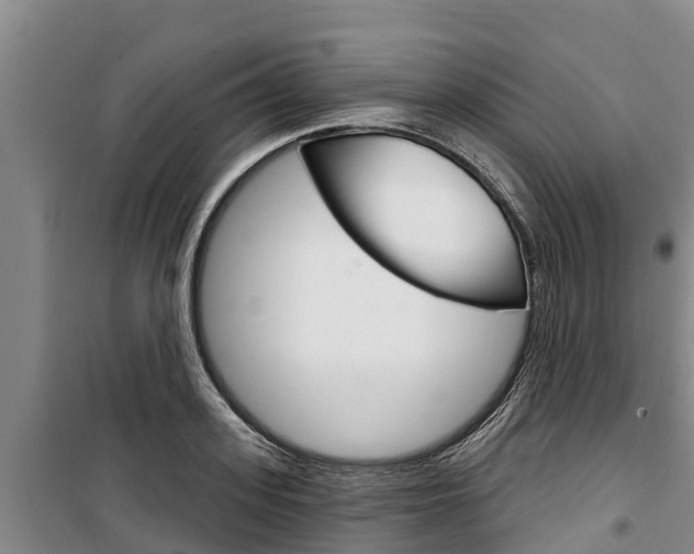 X0000100360939200806060820