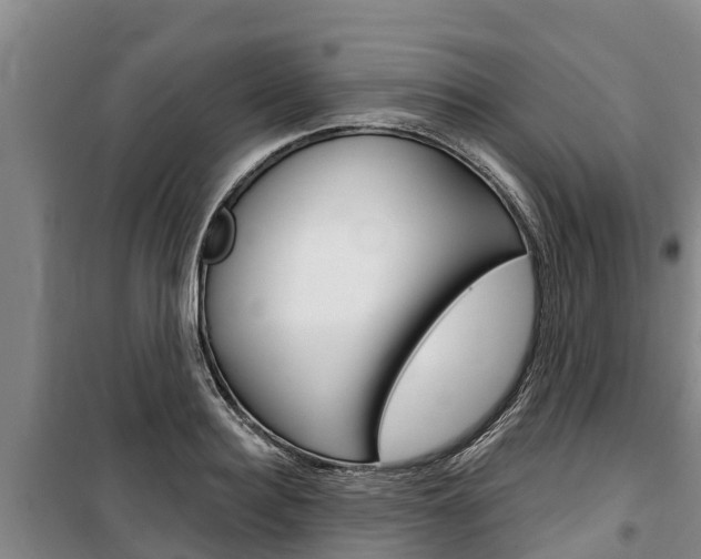 X0000100360940200806060820
