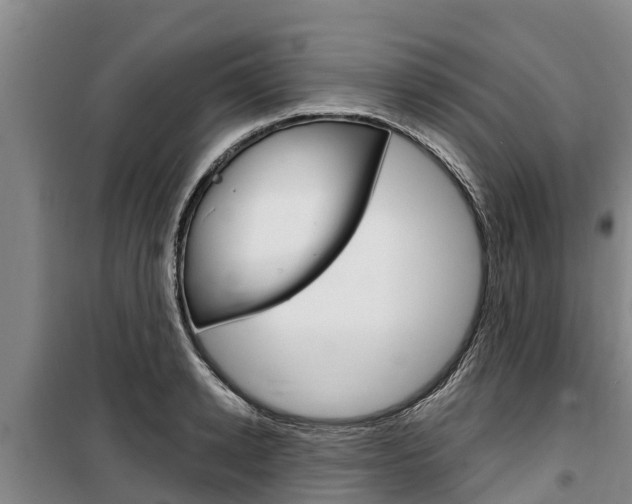 X0000100360942200806060820