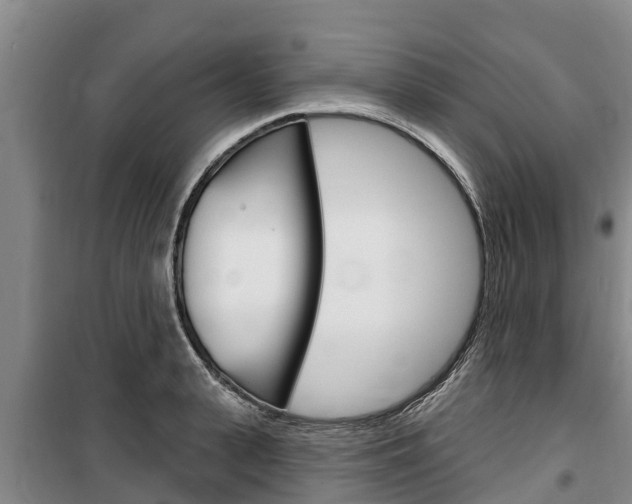 X0000100360943200806060820
