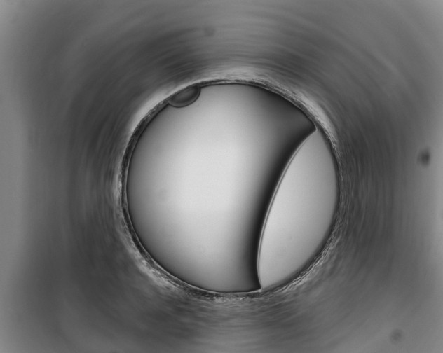 X0000100360944200806060820