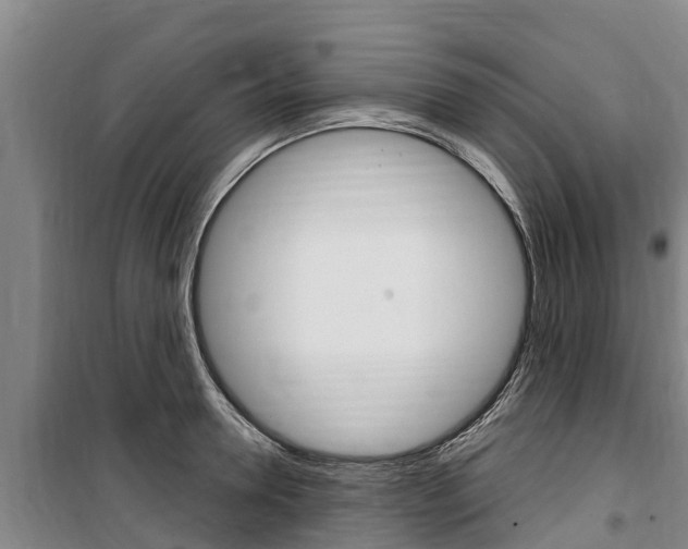 X0000100360946200806060820