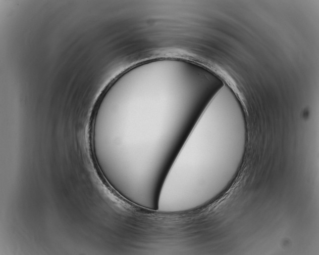 X0000100360947200806060820