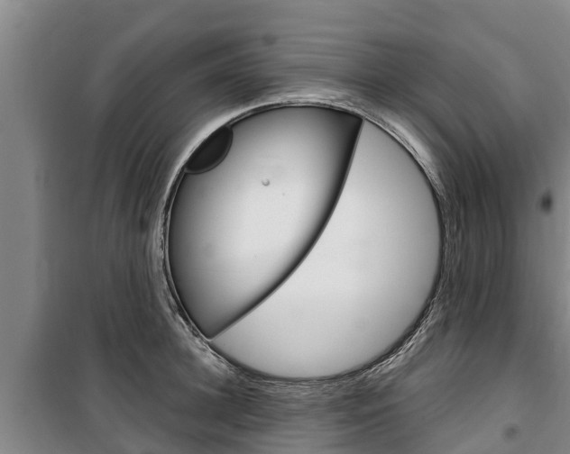 X0000100360948200806060820