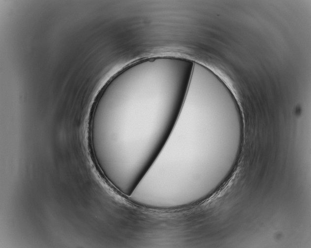 X0000100360949200806060820