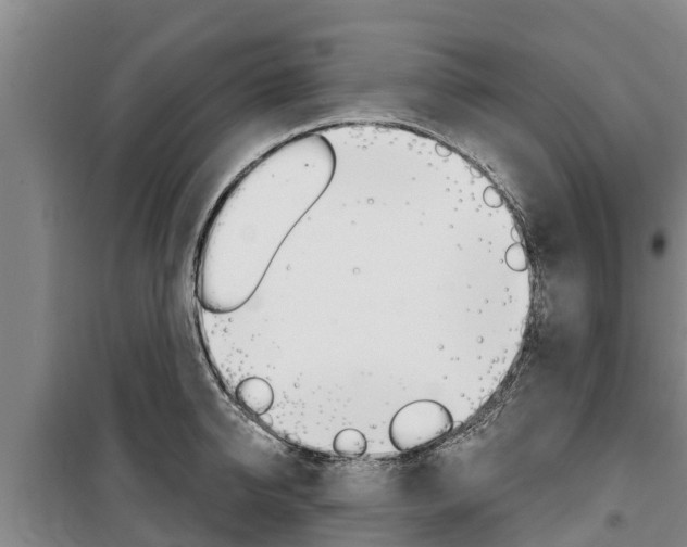 X0000100360950200806060820