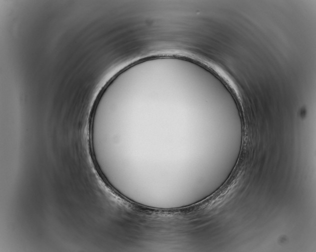 X0000100360951200806060820