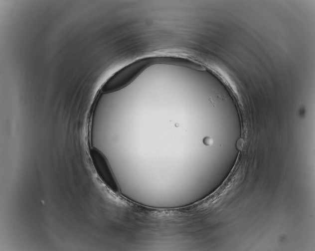X0000100360952200806060820
