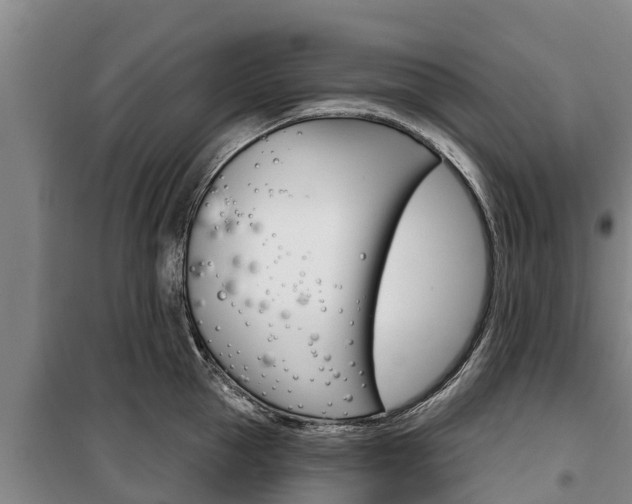 X0000100360953200806060820