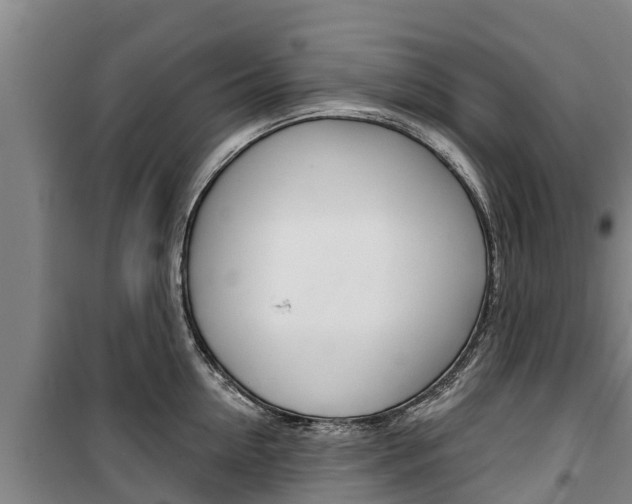 X0000100360954200806060820