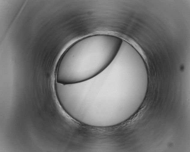 X0000100360955200806060820