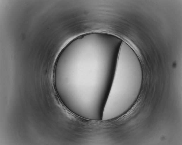 X0000100360956200806060820