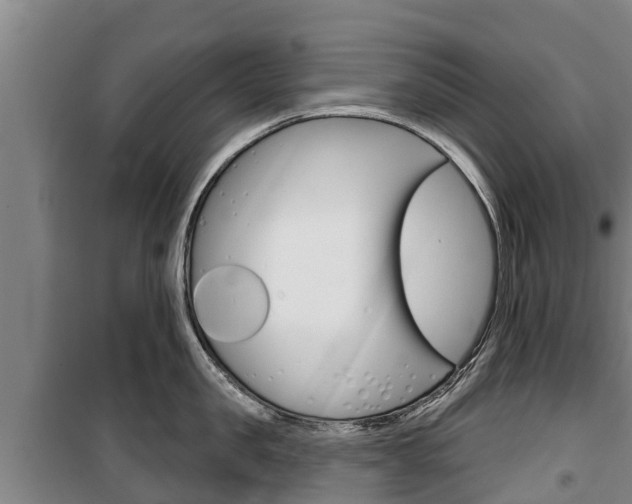 X0000100360957200806060820