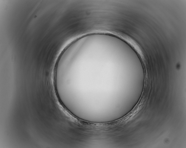 X0000100360958200806060820