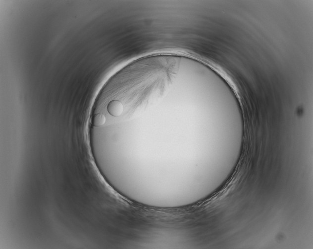 X0000100360959200806060820