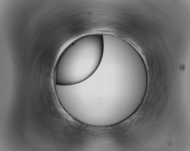 X0000100360960200806060820