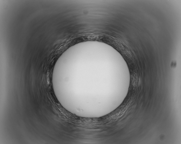 X0000100360962200806060819