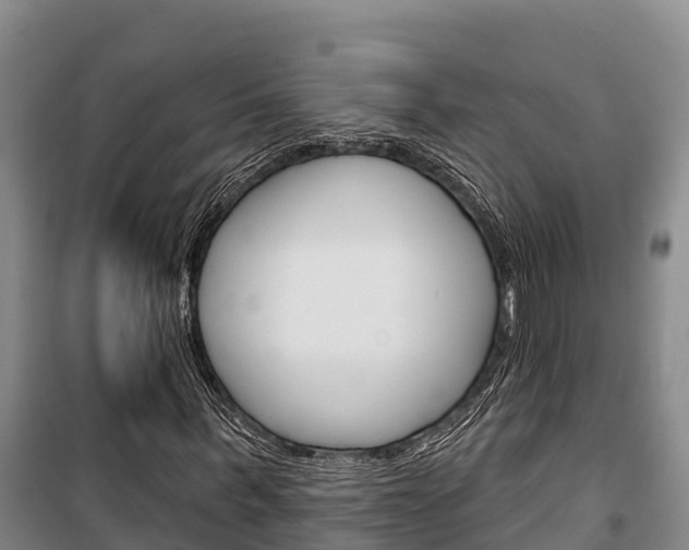 X0000100360963200806060819