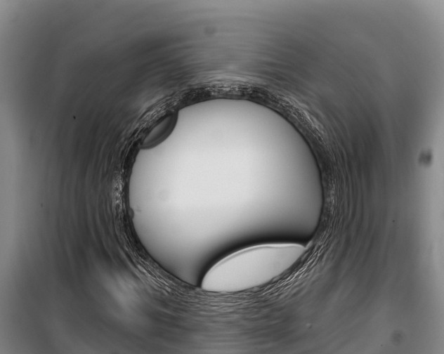 X0000100360964200806060819