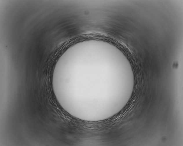 X0000100360965200806060819