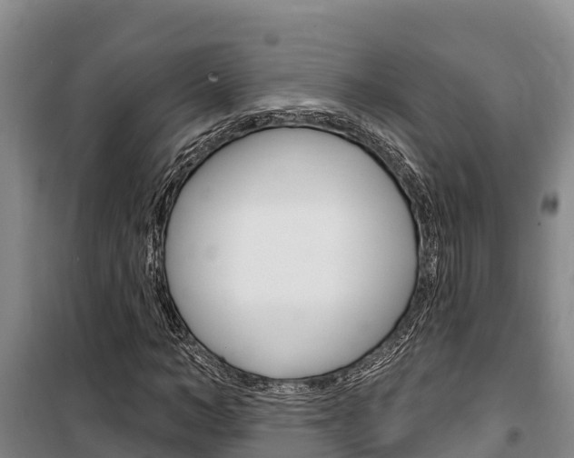 X0000100360966200806060819