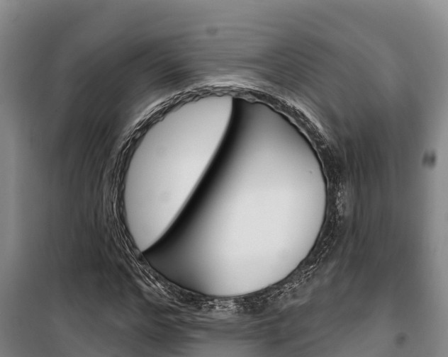 X0000100360968200806060819