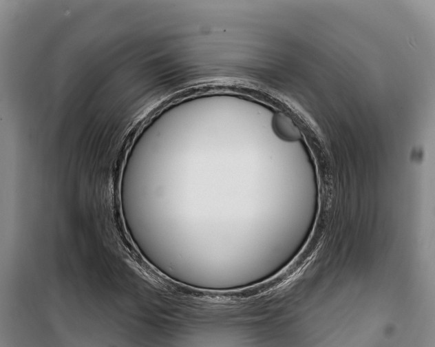 X0000100360969200806060819