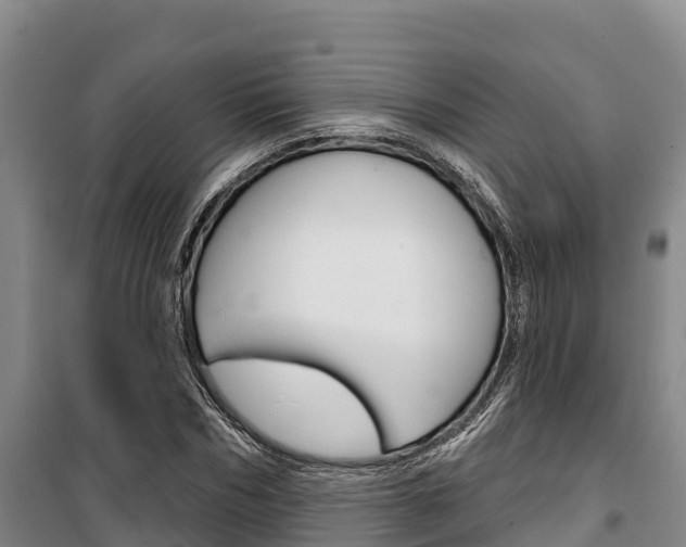 X0000100360970200806060819