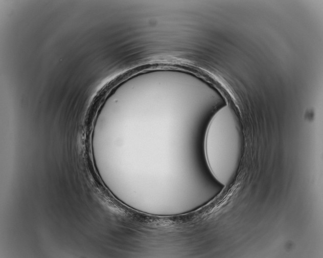 X0000100360971200806060819