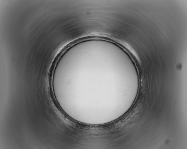 X0000100360972200806060819