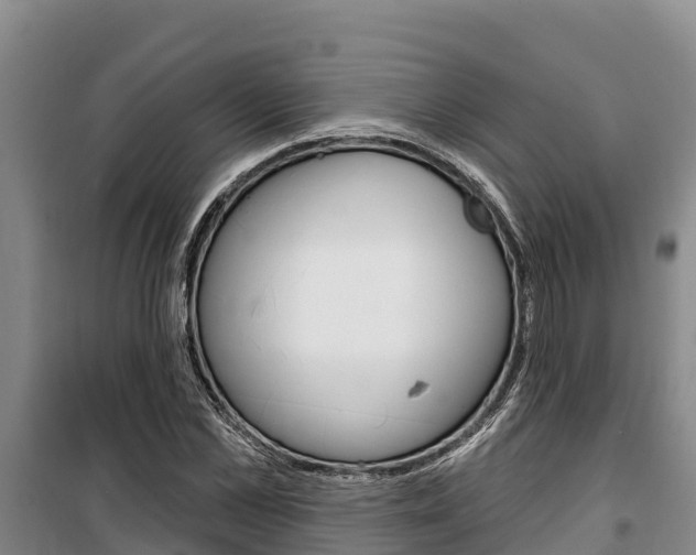 X0000100360973200806060819