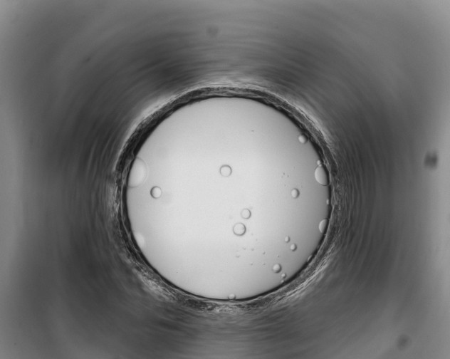 X0000100360974200806060819