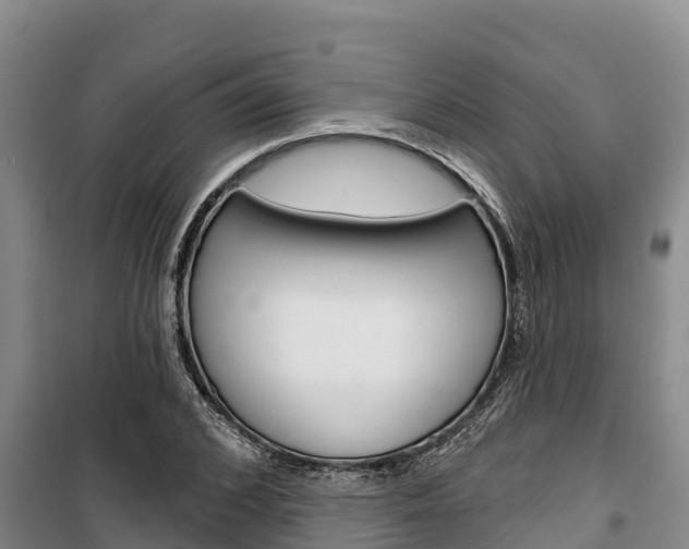 X0000100360976200806060819