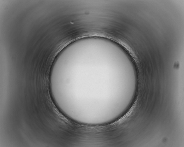 X0000100360977200806060819