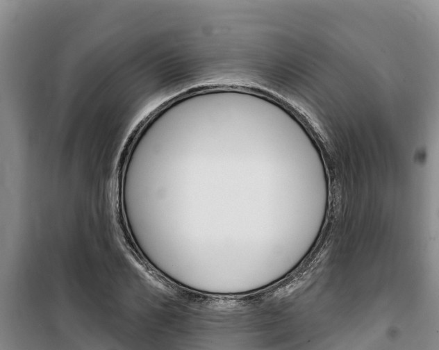 X0000100360982200806060819