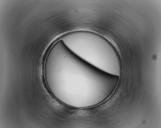X0000100360984200806060819