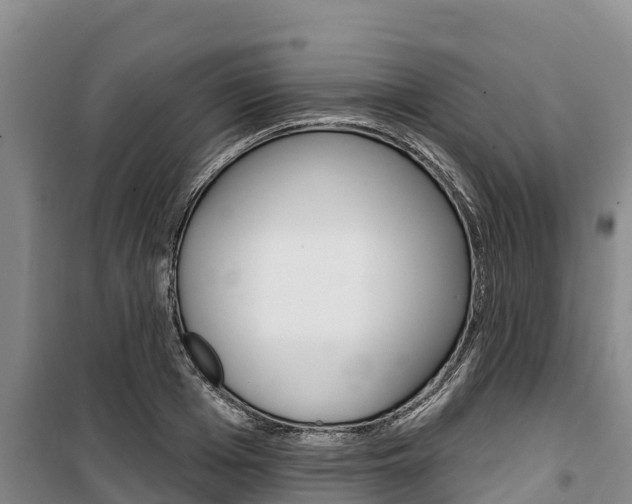X0000100360985200806060819