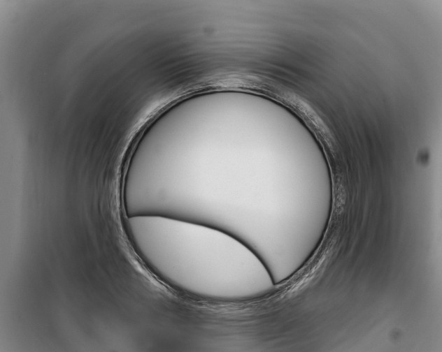 X0000100360986200806060819