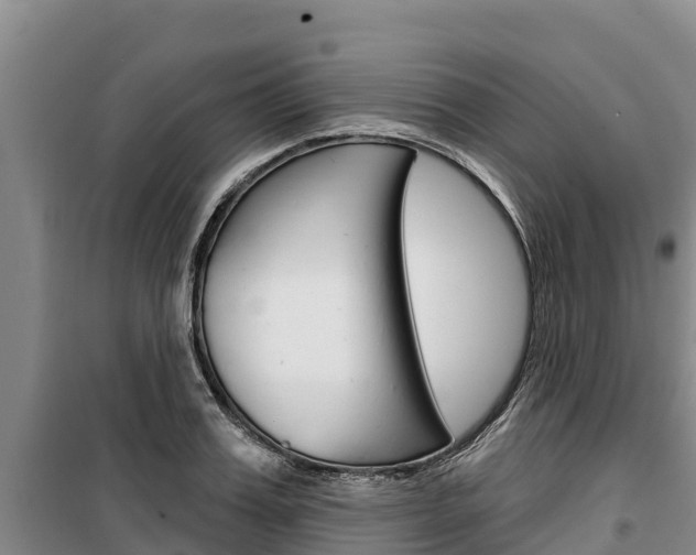 X0000100360987200806060819