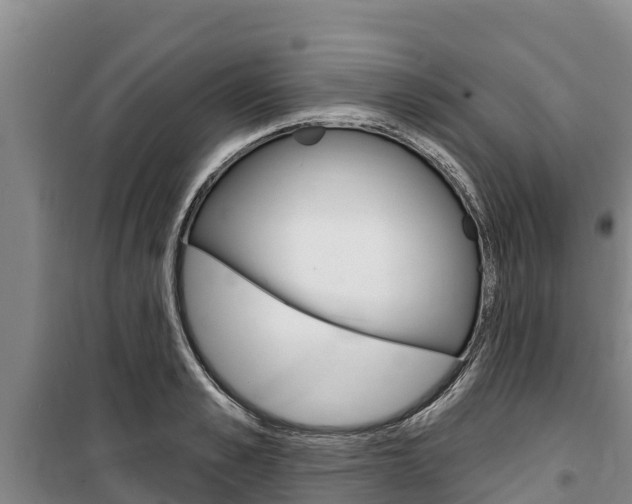 X0000100360989200806060819