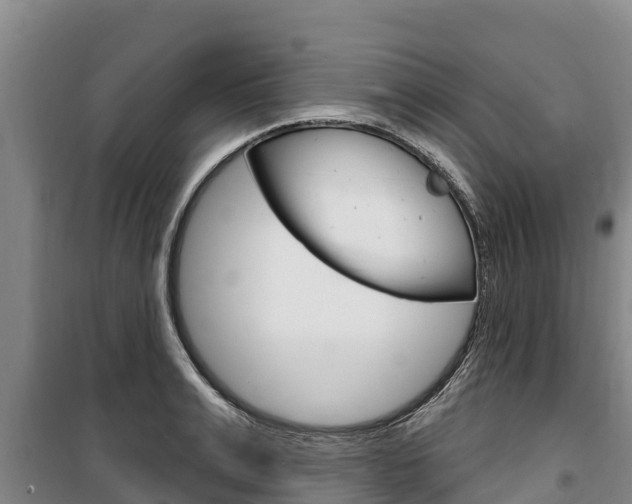 X0000100360991200806060819